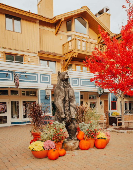 The Stratton bear statue surrounded by pumpkins and fall foliage