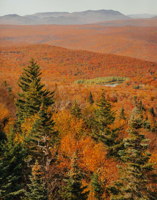 Fall colors in Vermont around Stratton