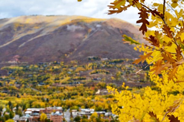Autumn in Aspen, Colorado