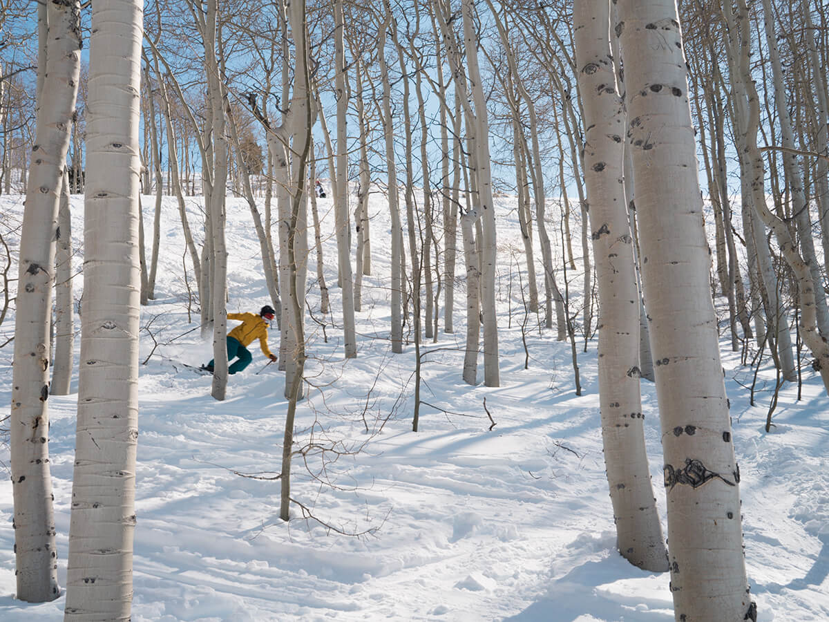 Skier going through the trees at Deer Valley Resort