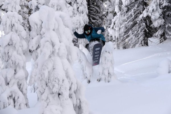 Snowboarder jumping through powder and trees in Steamboat