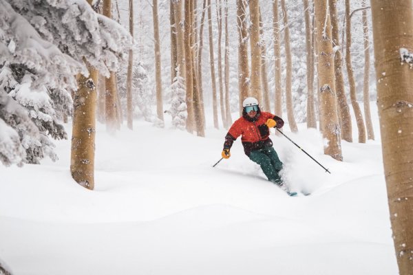Skier going through powder and trees