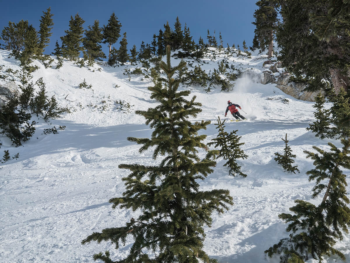 Skiing through the trees at Snowbird