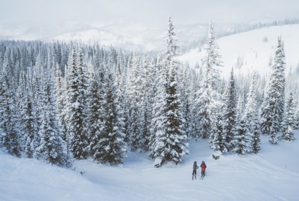 Two skiers standing on a snowy mountain run
