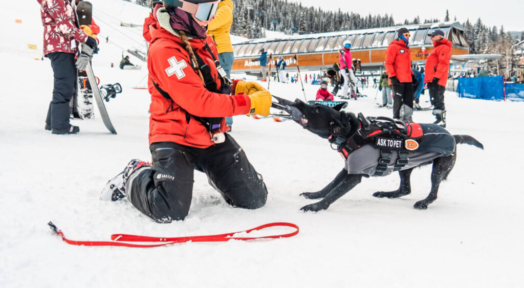Ski patrol and an avalanche dog playing tug-of-war.