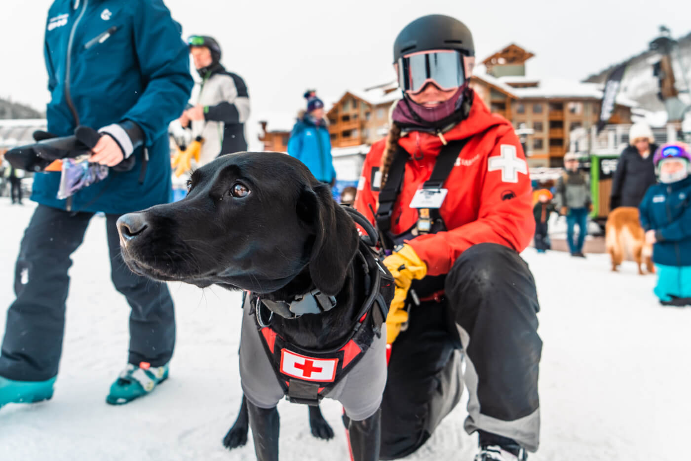 Ski patroller and avalanche dog preparing for work.