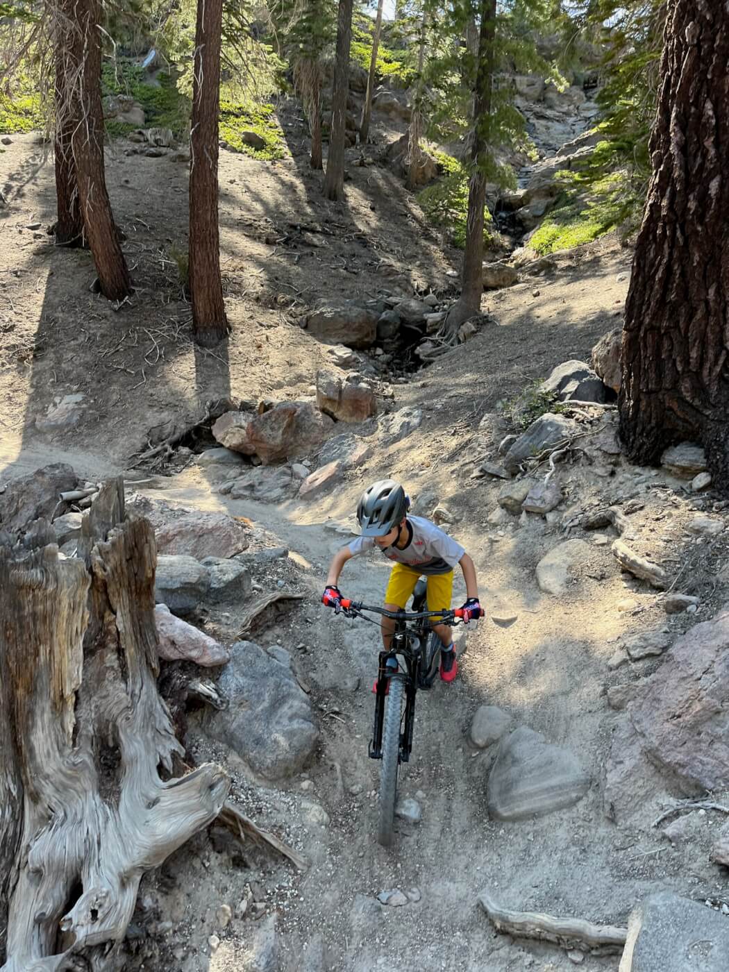 Person riding a mountain bike down a rocky trail in summer