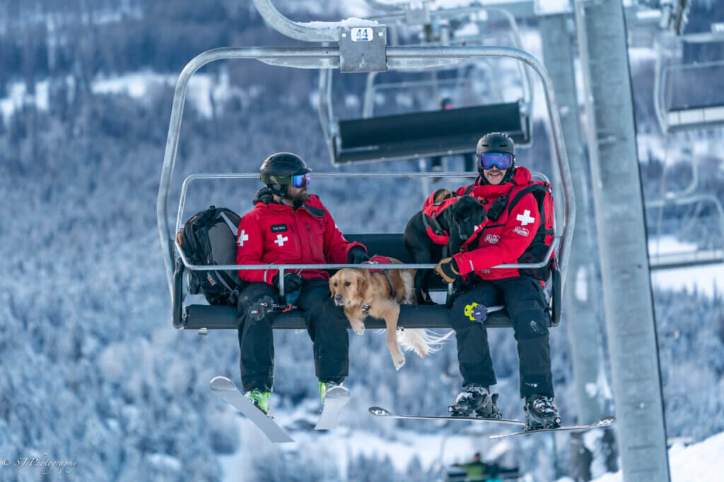 Avalanche dogs and their trainers on a ski lift.