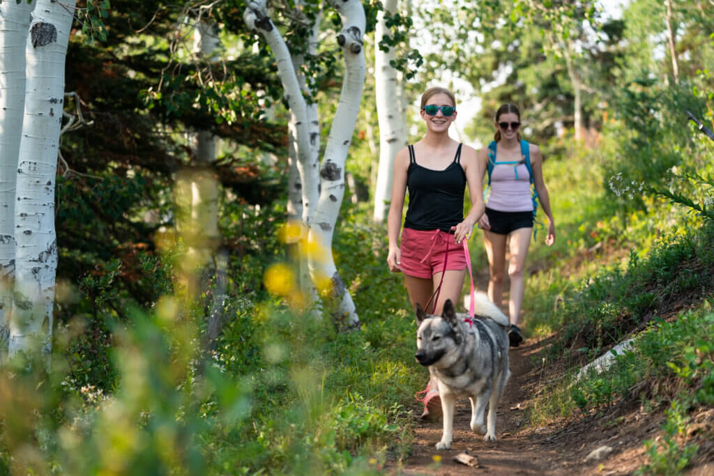 Two people hiking in the mountains with a dog during summer.