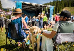 Two people sitting with a dog while at an outdoor summer festival.