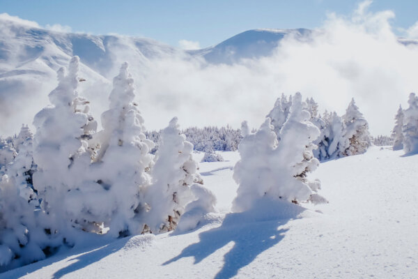 Photographer: Brittany Knotts // Winter Park Resort