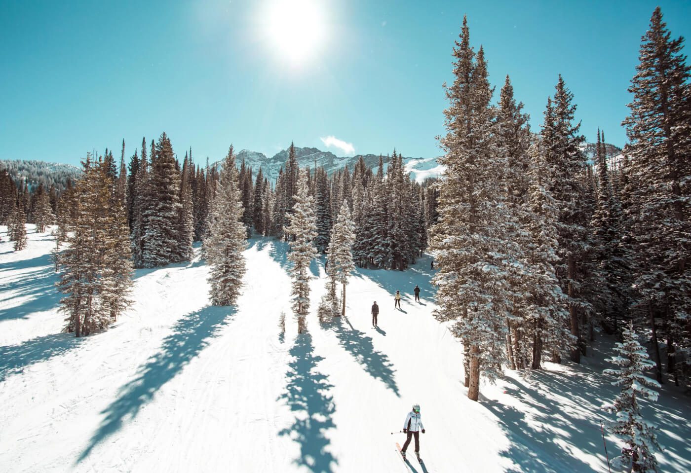 School’s Out for Skiing