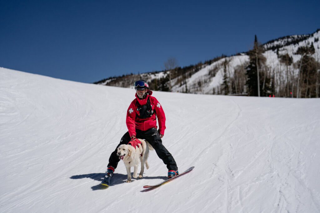 Tyroll "Ty", the Bark Bracket contestant from Steamboat