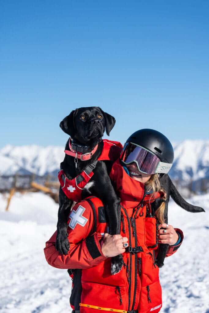 Millie, a black lab working with ski patrol at Sun Valley
