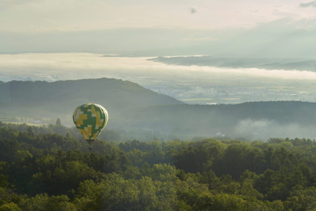 Hot air balloon floating through a mountain scene