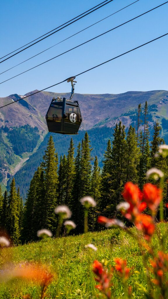 Gondola car going up a mountain in summer