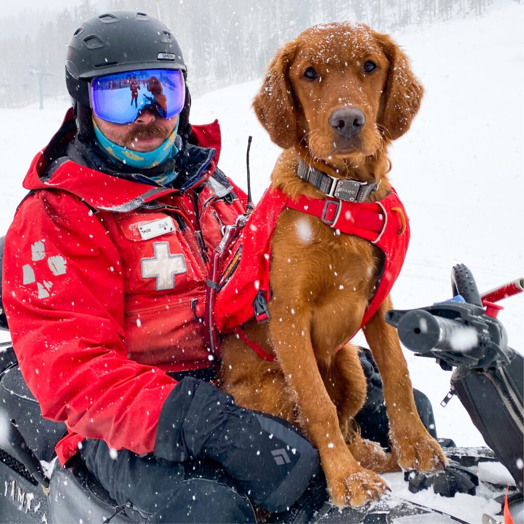 Red-colored avalanche dog sitting on ski patroller's lap on a snowmobile