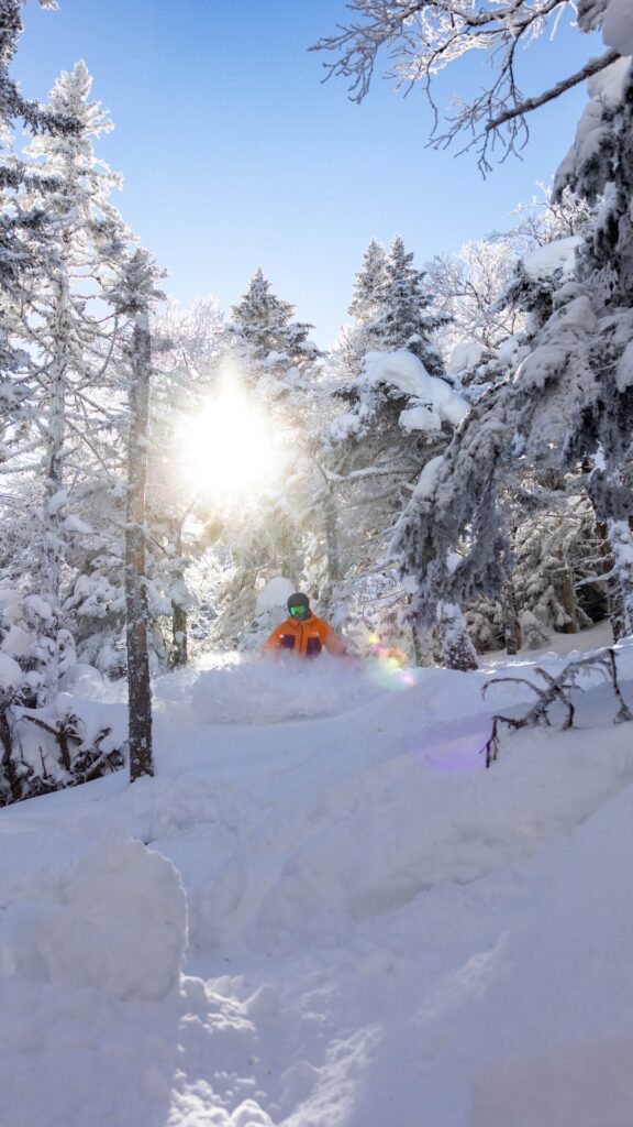 Tree skiing at sugarbush