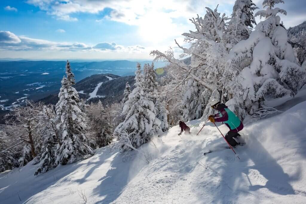 Two skiers going down a ski run on a sunny day with snow covered trees behind them